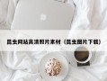 新安昆虫网站高清照片素材（昆虫图片下载）